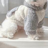 Giacca, felpa con cappuccio per cani