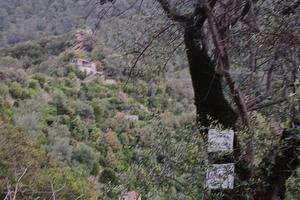 InSan Michele di Olivetta