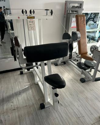 Arm Curl Technogym