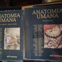 TRATTATO DI ANATOMIA UMANA ANASTASI 