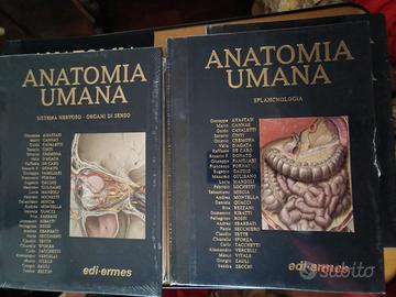 TRATTATO DI ANATOMIA UMANA ANASTASI 