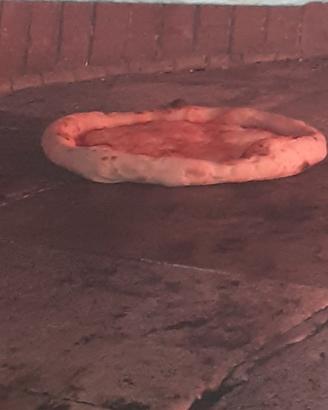 Pizzaiolo esperto