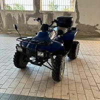 Vendita Quad Polaris (zona Borno BS)