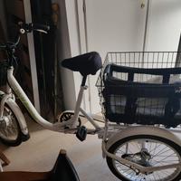 BICI ELETTRICA A TRE RUOTE 