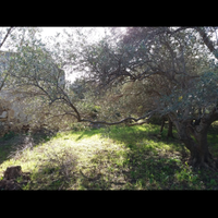 Rudere terreno mq 3000 circa