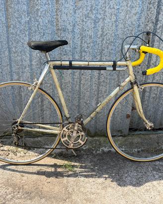 Bici da corsa