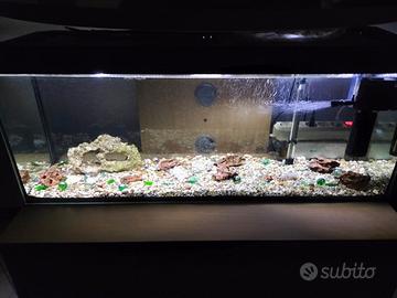acquario di 100 L