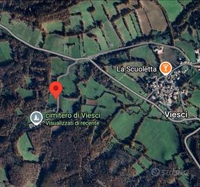 Terreno viesci 4600mq