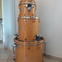 Mapex Orion Alfredo Golino