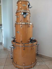 Mapex Orion Alfredo Golino