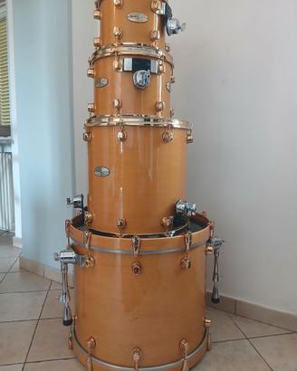 Mapex Orion Alfredo Golino