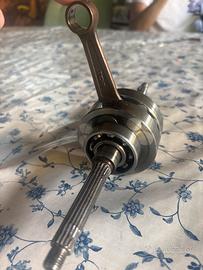 Albero top spalle piene