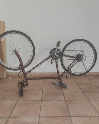 bici Mountain bike adulto