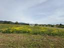 ter-agricolo-a-san-secondo-di-pinerolo