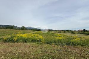 TER. AGRICOLO A SAN SECONDO DI PINEROLO