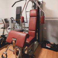 Unica Evolution Technogym usata