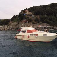 Sealine 305 Fly