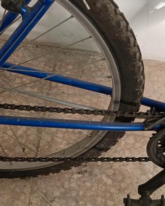bicicletta Mountain bike 