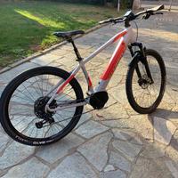 Ebike
