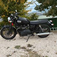 Triumph boneville T100