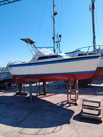 Gozzo Falco con Lombardini 40