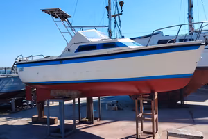 Gozzo Falco con Lombardini 40