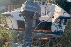 Evinrude 25 con documenti