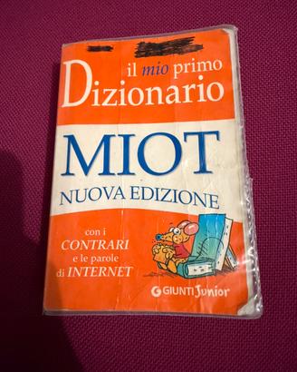 Dizionario