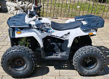Mini QUAD ANGRY 125 R8