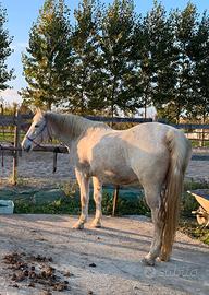 Leila Argentina 15 anni