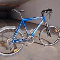 Mountain bike usata 
