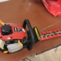 Tagliasiepe a scoppio 