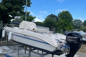 Barca Ranieri con motore mercury 40Cv