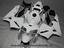Immagine 4