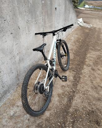 Specialized 2024 rockhopper 