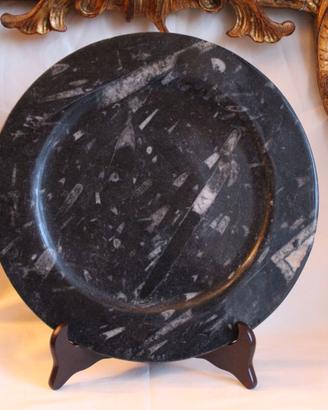 piatto in pietra calcare orthoceras con fossili