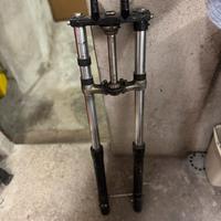 Steli x cre 50 del 98