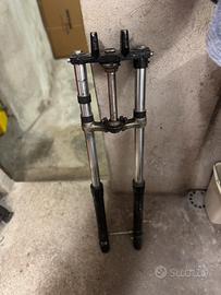 Steli x cre 50 del 98