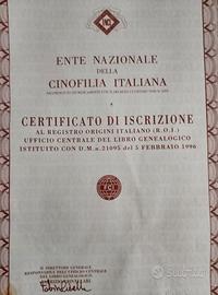 Charlie vuole compagna per accoppiamento