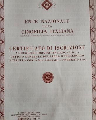 Charlie vuole compagna per accoppiamento
