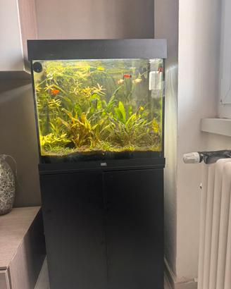 Acquario Juwel Lido 120 / pesci e filtro askoll