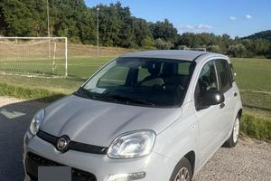 Panda 1.0 fire fly hybrid