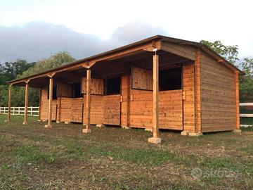 box scuderia cavallo con fienile
