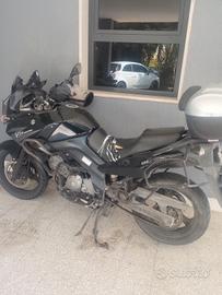 Suzuki v strom 