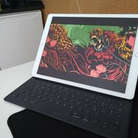 Apple iPad Pro 2a gen 256GB, Wi-Fi, 12,9" - Argent