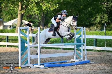 Super pony
