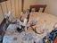 Immagine 3
