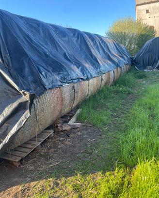 Balle di paglia e fieno