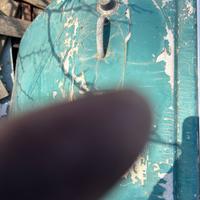 Sportello destro alfa Romeo gta 1.6