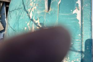 Sportello destro alfa Romeo gta 1.6